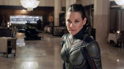 Evangeline Lilly played Hope van Dyne in the Marvel Cinematic Universe.
