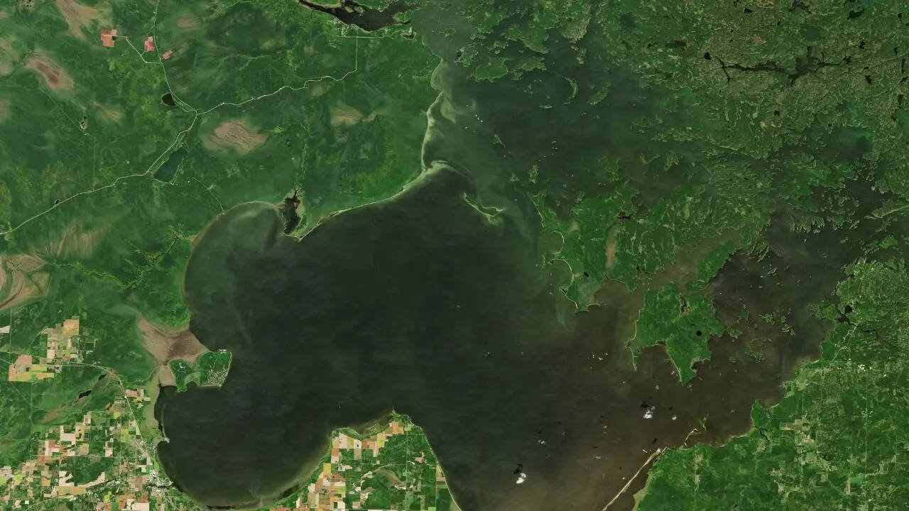 Lake of the Woods