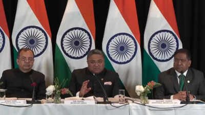 'India’s strength lies in ... ': MEA rebuts criticism on press freedom, minorities in India