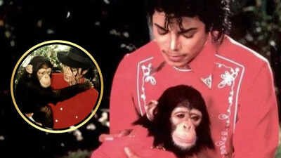 Michael Jackson and his Chimpanzee Bubbles: The full story of pop star's most famous friendship