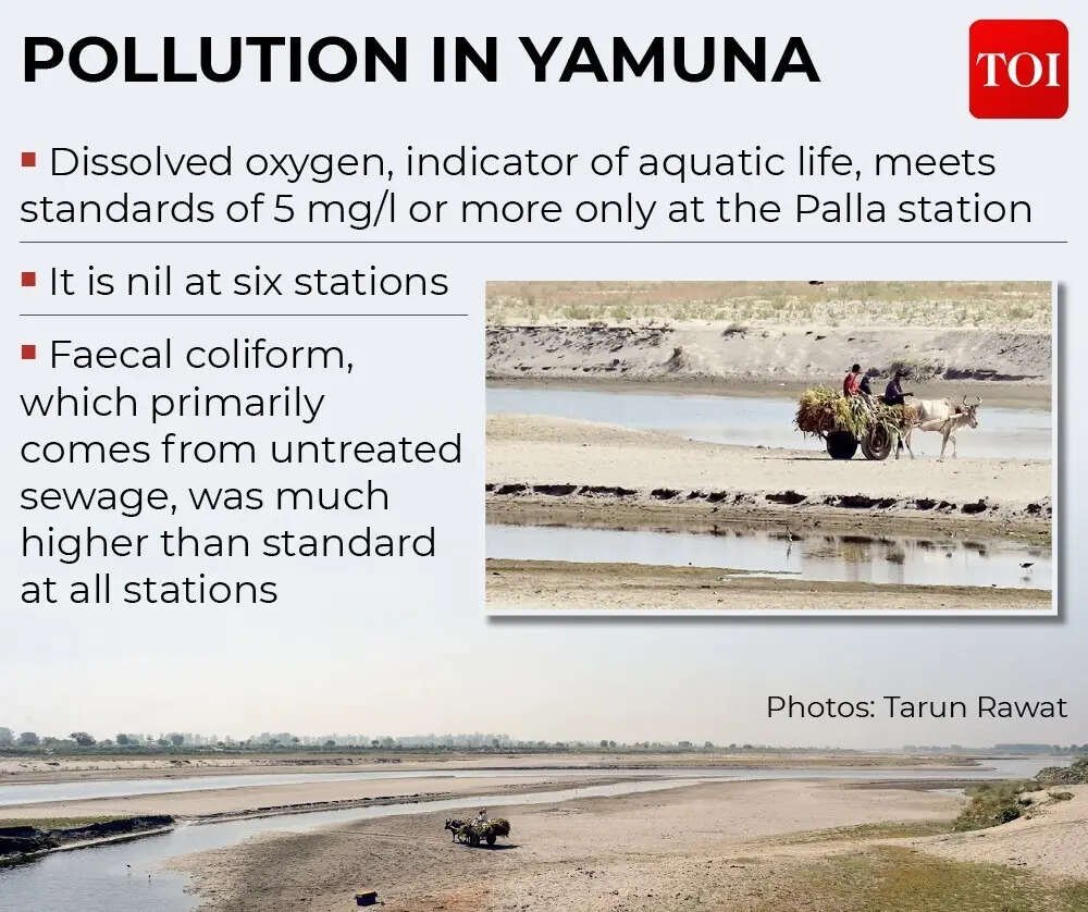 Pollution in Yamuna