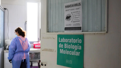 Hantavirus outbreak: French woman critically ill, placed on artificial lung support