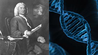 <p>Image(s): Left/American Aristocracy/Right/Canva</p> Scientists reveal more than 1.3 million people may share DNA with Maryland’s earliest colonists