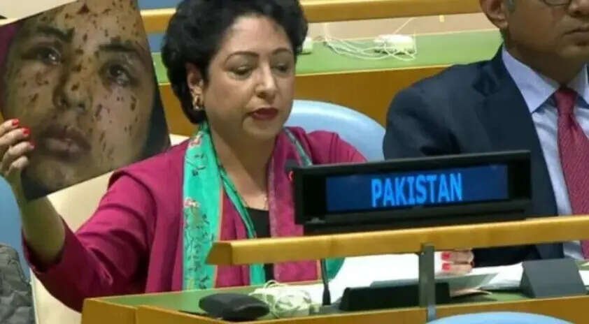 Screengrab from UN live.