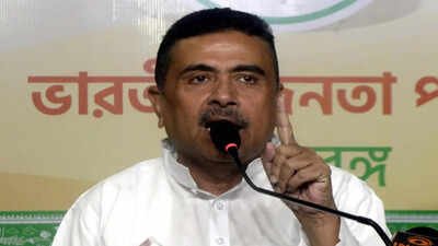 Bengal triumph promises BJP delayed Rajya Sabha dividend