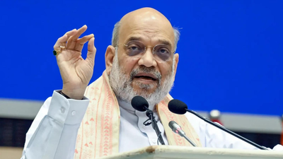'Infiltration a major challenge': Amit Shah says panel on 'unnatural demographic change' set up