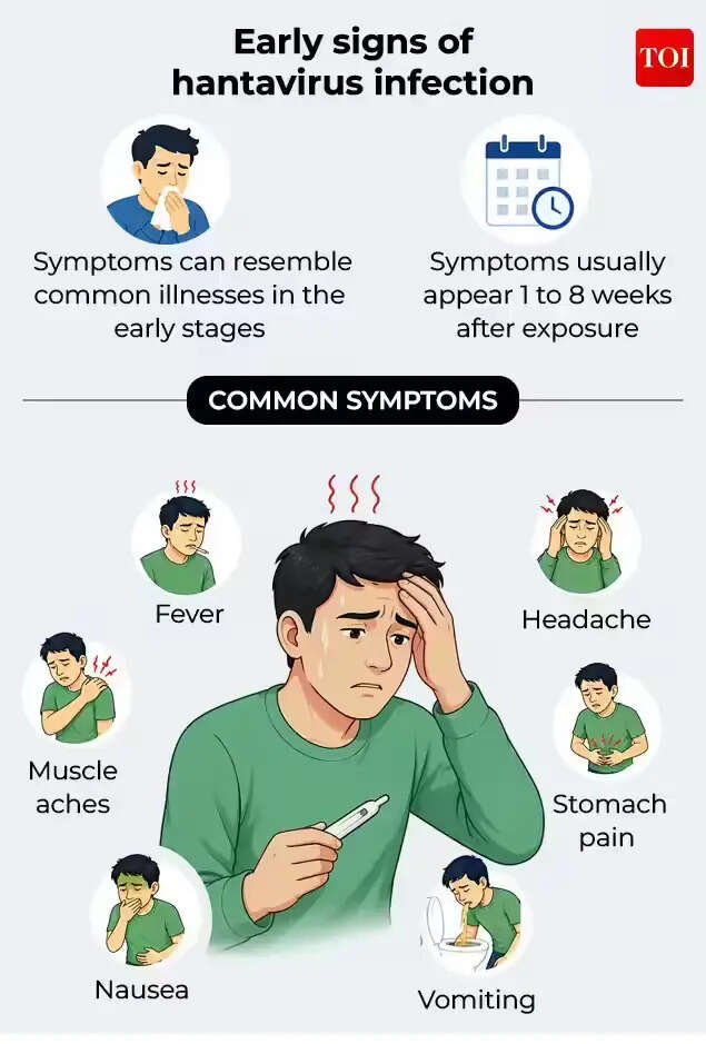 What are the early signs of hantavirus?