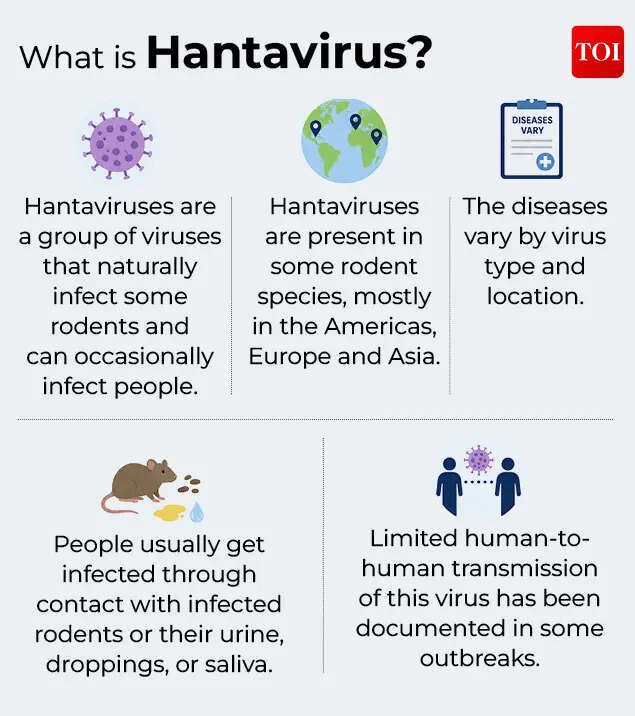 What is Hantavirus