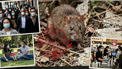 Hantavirus panic: Are we reliving Covid fears all over again?