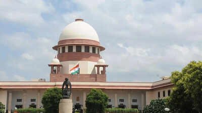 SC: Rape survivor shouldn’t be repeatedly called to court