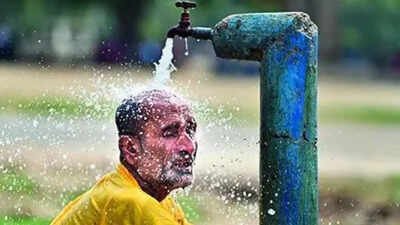 WMO's El Nino alert raises odds of severe impact on monsoon