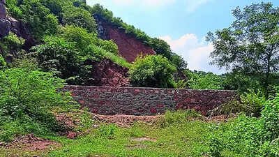 SC sets up expert panel on Aravalis, petitioners question its independence