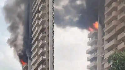 Watch: Massive blaze erupts in flat at Noida's IVY County Society, panic among residents