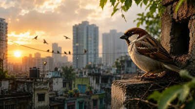 The bird that woke us up has fallen silent. Can we bring back the Sparrow's chirp?
