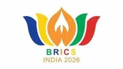 India plans to showcase clean energy at Brics meet