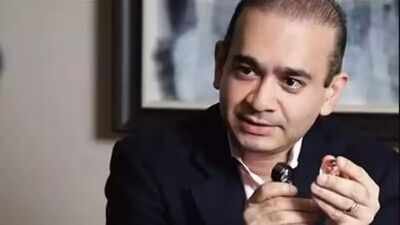 Nirav Modi Bank of India wins Rs 100 crore case against Nirav Modi