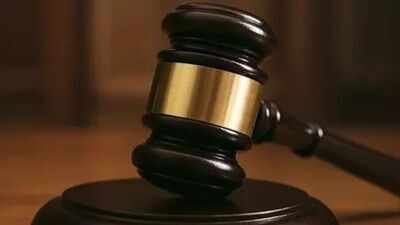 Government can't claim citizens' land through adverse possession: Punjab and Haryana HC