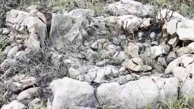 15-million-years old shark fossils discovered by Odisha teacher and students on a random field visit, locals called them 'Asura Hadda'
