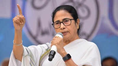 . No proposal or discussion to merge with Congress: TMC