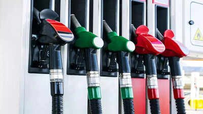 Govt bars industries from buying petrol, diesel at pumps; mandates bulk purchase route