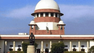 Supreme Court 'You are nobody': SC rebukes 'so-called RTI activist', refuses anticipatory bail