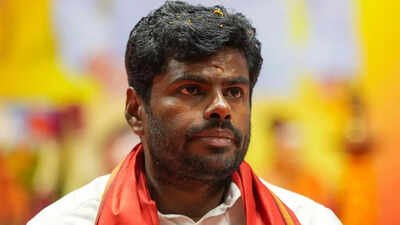 'Increase in crimes involving North Indians': K Annamalai demands stricter checks on migrants