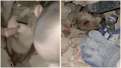 From baby to dog: Miracle rescues giving Venezuela hope after deadly earthquakes - watch