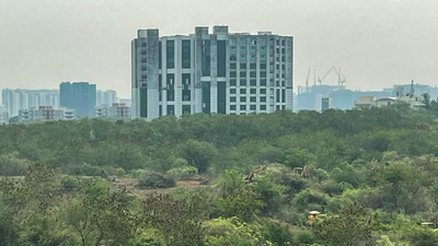 Representative image Telangana land value rate revision takes effect: Key changes explained