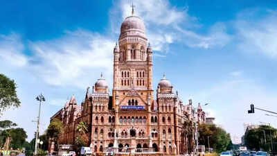 BMC halts water supply to new construction sites, swimming pools amid dwindling reservoir stocks