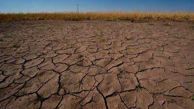 El Niño here, 63% chance it will be super strong: US