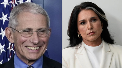 Anthony Fauci (L) and Tulsi Gabbard (R) Biden aide funded Wuhan lab to 'manipulate' Covid-19 assessments? Tulsi Gabbard's 'explosive' claim