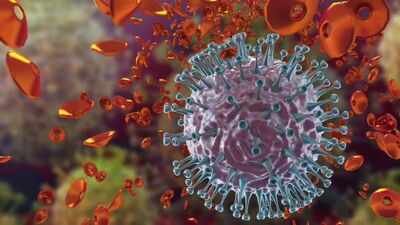 Flu kills 1.2 lakh/year in India, senior citizens bear the brunt Flu kills 1.2 lakh/year in India, senior citizens bear the brunt