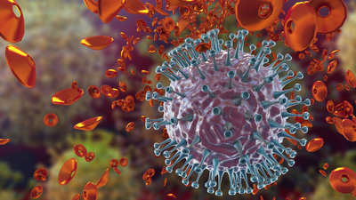Swine Flu isn’t always mild: H1N1 death highlights who is most at risk and the warning signs that need immediate attention