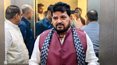 Brij Bhushan on Ram temple fund row: 'If I speak the truth, I will get into trouble'