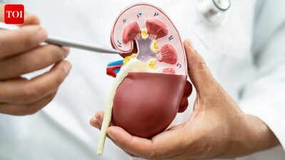 Kidney disease breakthrough: New drug shows tremendous promise for nearly 800 million patients with CKD