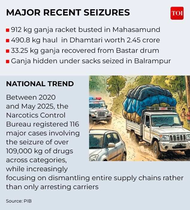 Major recent seizures.