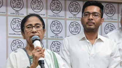'You could not criticise Abhishek': TMC rebel explains the breaking point of dissent