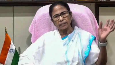 Major TMC reshuffle amid turmoil: Arnab Banerjee, Kunal Ghosh appointed presidents