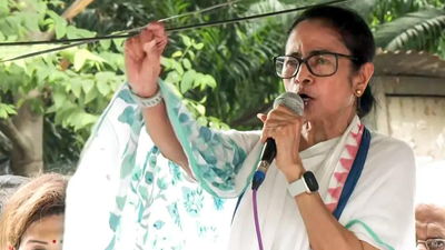 HDFC said to have put freeze on TMC account, Didi's faction denies it