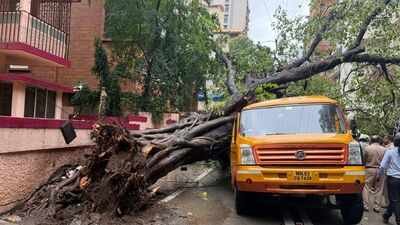 Mumbai rains: Falling tree crushes school van in Chembur, 5 students hospitalised