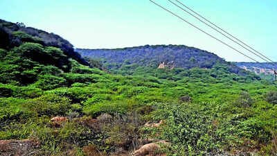 - NCZ restoration puts focus on delayed mapping of Aravali, conservation zones