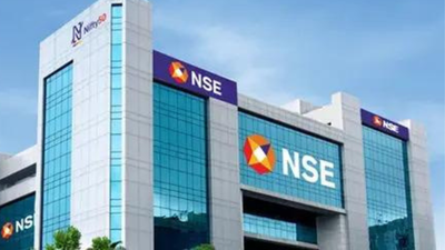 Individuals make up 47% of NSE owners