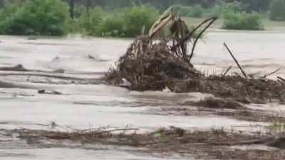 Train services between Murkongselek and Silapathar under the Tinsukia division will remain suspended until further notice. Railway bridge over Simen river partially collapses after heavy rain in Assam; train services suspended, villages cut off