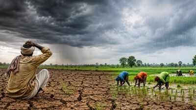Monsoon misfires: Over half of Telangana districts face rainfall stress, Kharif sowing at risk