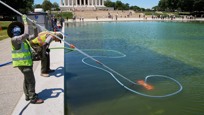 Trump administration uses hydrogen peroxide and tiny bubbles against algae in Reflecting Pool (AP) '250-ft gash, poured chemicals': Donald Trump claims vandals damaged Reflecting Pool