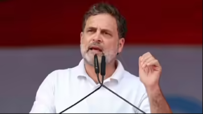 Rahul Gandhi DMK attacks Rahul Gandhi for ‘dishonesty,’ ‘immaturity’ that harmed INDIA bloc