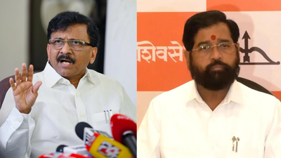 'Kuch log...': Sanjay Raut counters Eknath Shinde's 'sher akela aata hai' remark with loyal dog post