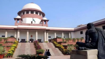 SC: Law is against commercialising prostitution, doesn't want to ban it