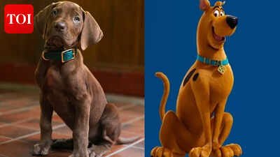 'Scooby-Doo: Origins' live-action series unveils FIRST LOOK; fans of iconic character divided over casting 'real' pup - WATCH