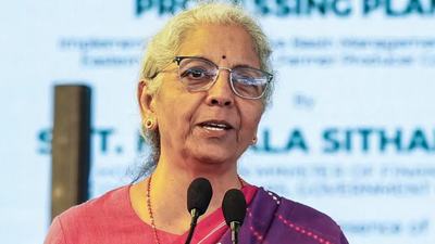 File photo Sitharaman says external aid projects should help Northeast products reach global markets